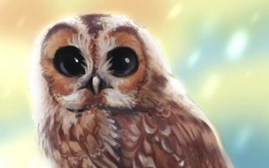 Preview wallpaper owl, bird, glance, art