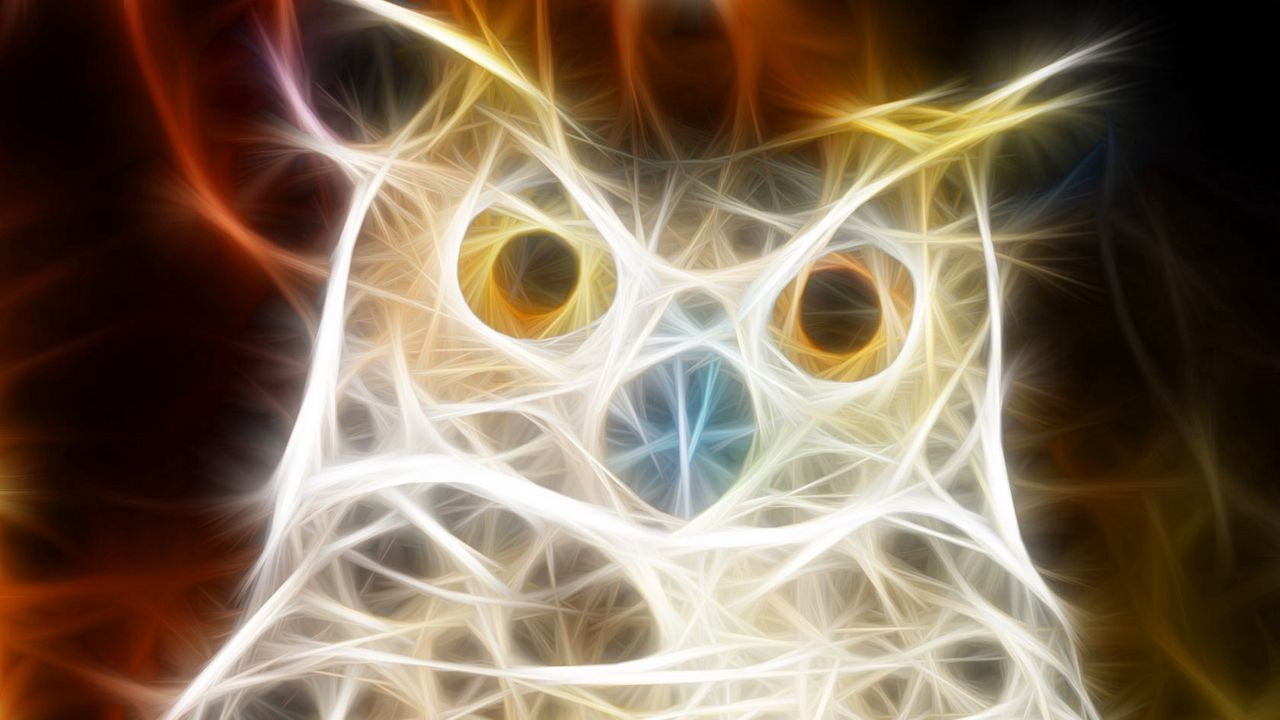 Wallpaper owl, bird, light, shine