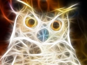Preview wallpaper owl, bird, light, shine
