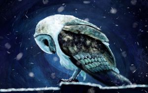 Preview wallpaper owl, bird, snow, art