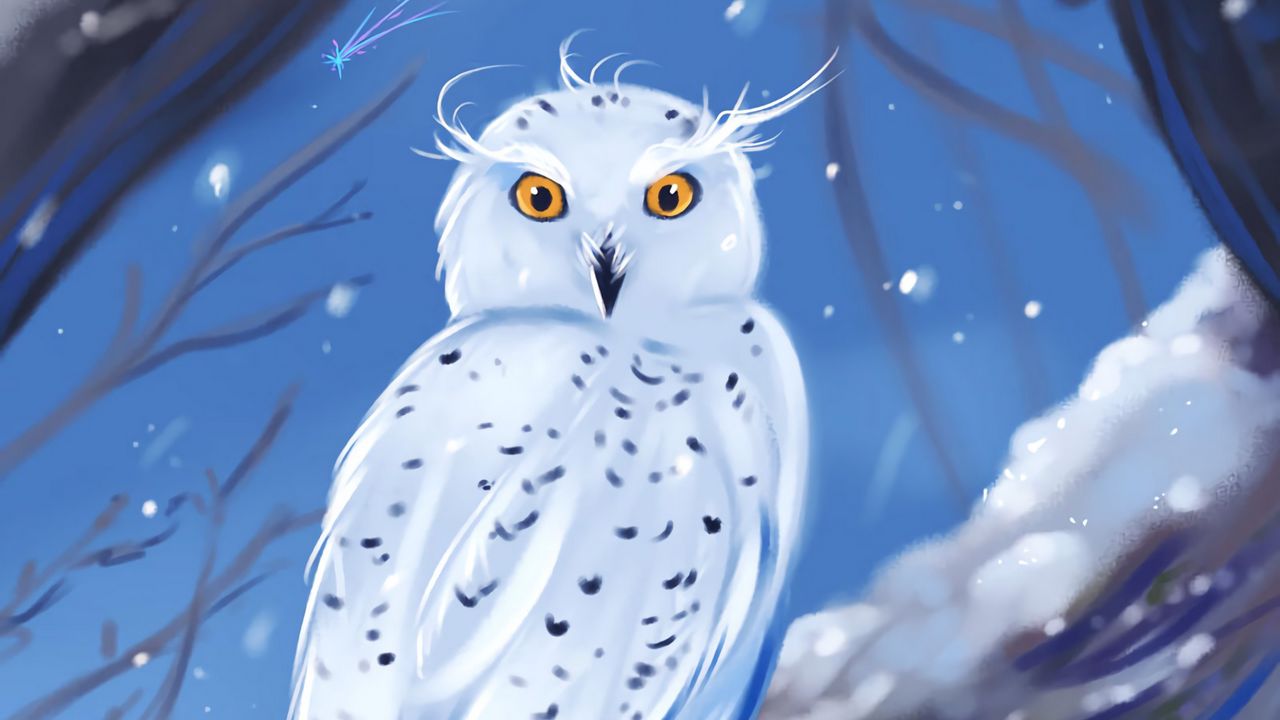 Wallpaper owl, bird, white, winter, art