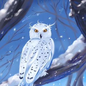 Preview wallpaper owl, bird, white, winter, art