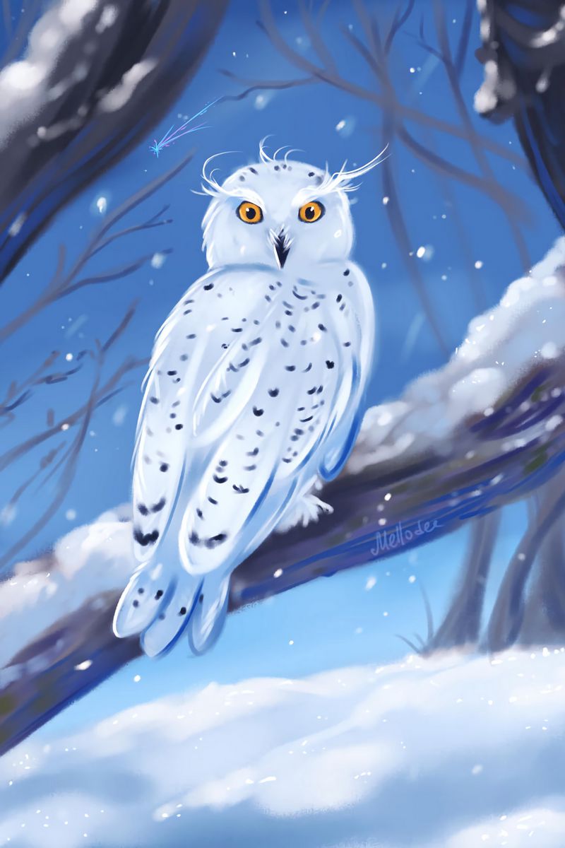 Download wallpaper 800x1200 owl, bird, white, winter, art iphone 4s/4 for  parallax hd background