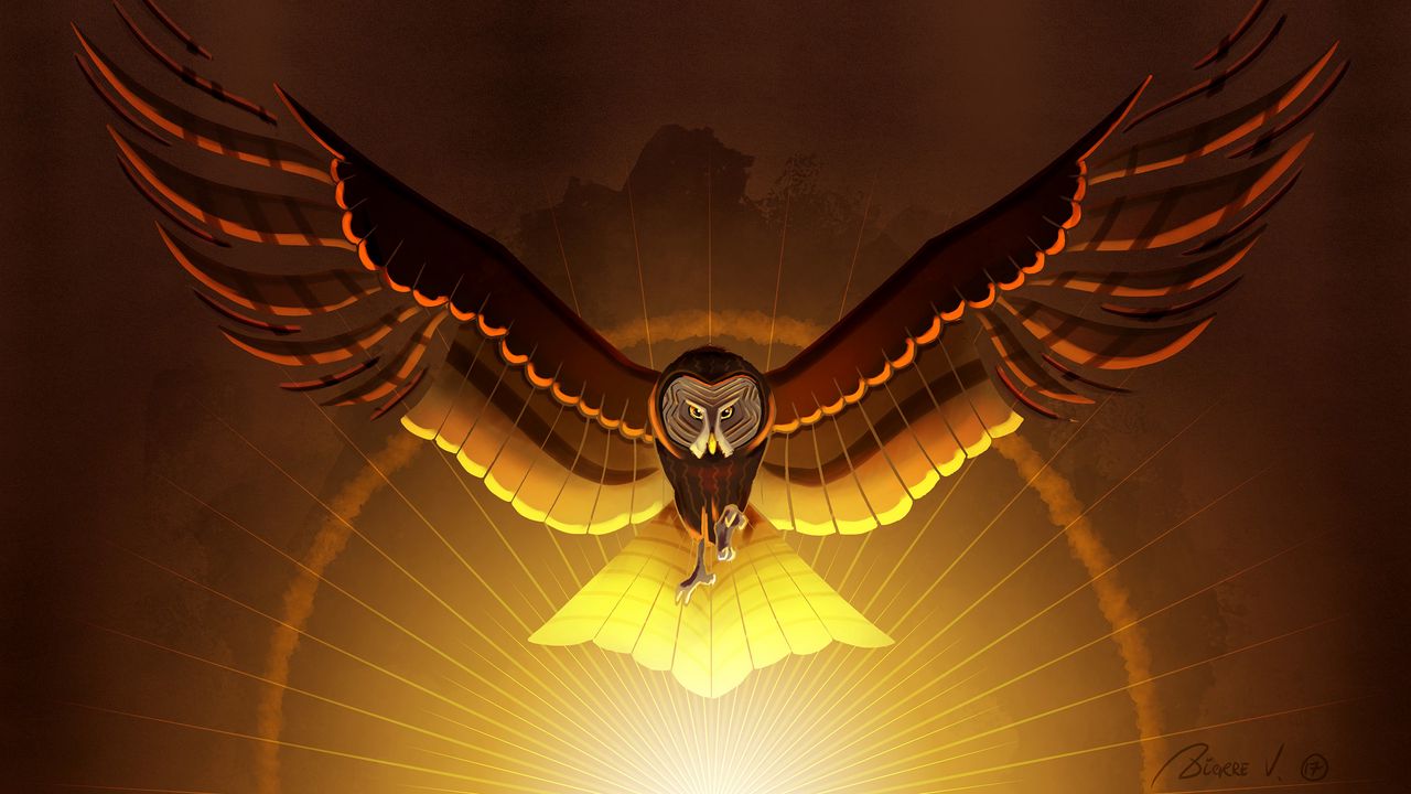 Wallpaper owl, bird, wings, art