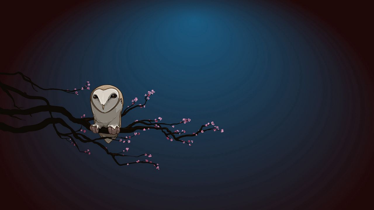 Wallpaper owl, branch, night