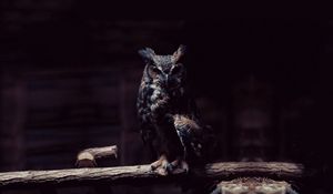 Preview wallpaper owl, branch, sit, shadows, dark