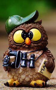 Preview wallpaper owl, figurine, cap, binoculars
