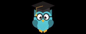 Preview wallpaper owl, hat, student, art, vector