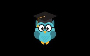 Preview wallpaper owl, hat, student, art, vector