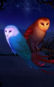 Preview wallpaper owl, night, birds, branch