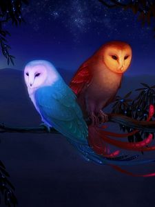 Preview wallpaper owl, night, birds, branch