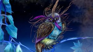 Preview wallpaper owl, pheasant, being, bird, night