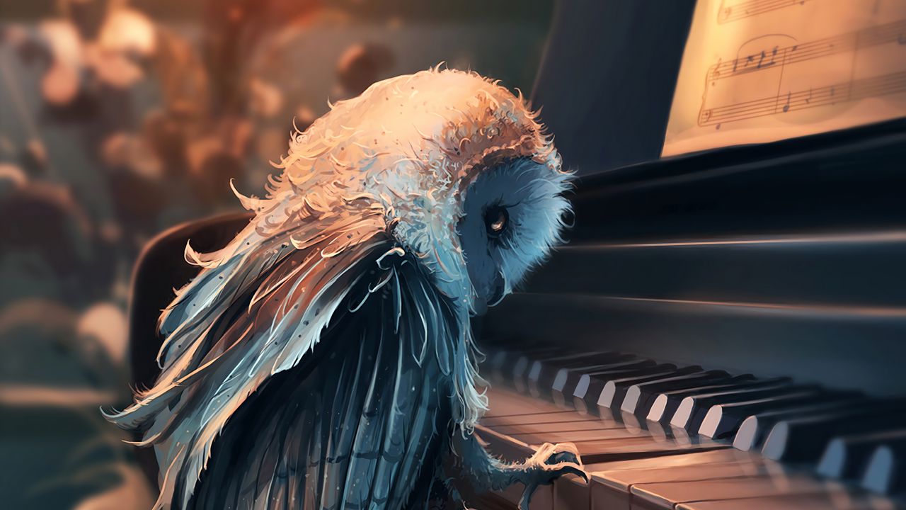 Wallpaper owl, piano, art, music