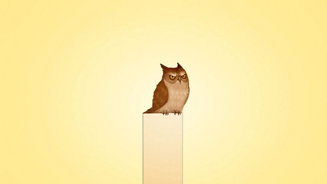 Wallpaper owl, picture, post, view