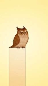 Preview wallpaper owl, picture, post, view