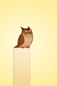 Preview wallpaper owl, picture, post, view