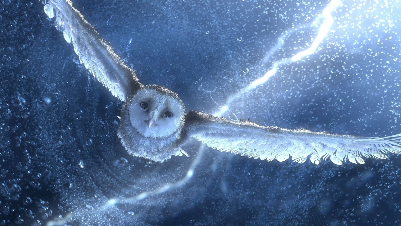 Wallpaper owl, predator, sky, drawing