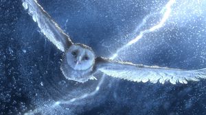 Preview wallpaper owl, predator, sky, drawing