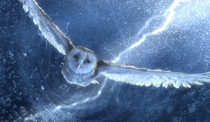 Preview wallpaper owl, predator, sky, drawing