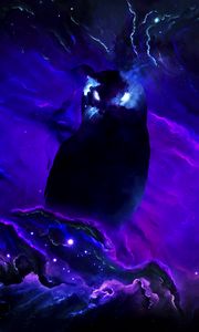 Preview wallpaper owl, silhouette, galaxy, stars, night