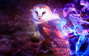 Preview wallpaper owl, smoke, fire, multicolored