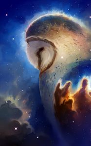 Preview wallpaper owl, space, art, bird, stars