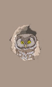 Preview wallpaper owl, spy out, vector, art