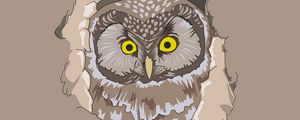 Preview wallpaper owl, spy out, vector, art