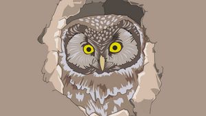 Preview wallpaper owl, spy out, vector, art