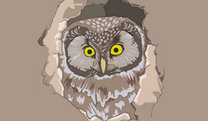 Preview wallpaper owl, spy out, vector, art