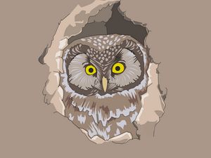 Preview wallpaper owl, spy out, vector, art