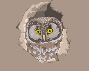 Preview wallpaper owl, spy out, vector, art