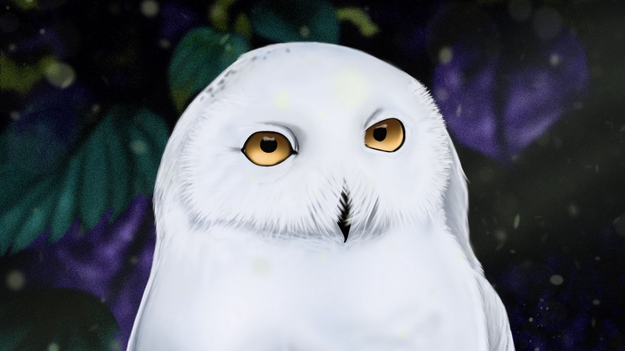Wallpaper owl, white, bird, art