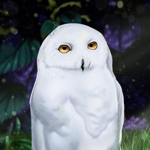 Preview wallpaper owl, white, bird, art