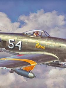 Preview wallpaper p 47 thunderbolt, hasegawa, fighter, aircraft