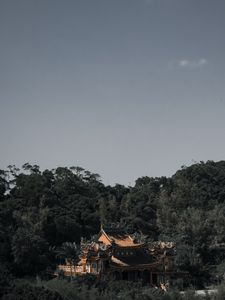 Preview wallpaper pagoda, architecture, temple, trees, landscape