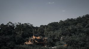 Preview wallpaper pagoda, architecture, temple, trees, landscape