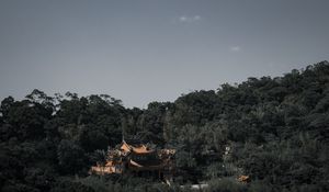 Preview wallpaper pagoda, architecture, temple, trees, landscape