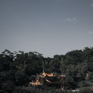 Preview wallpaper pagoda, architecture, temple, trees, landscape