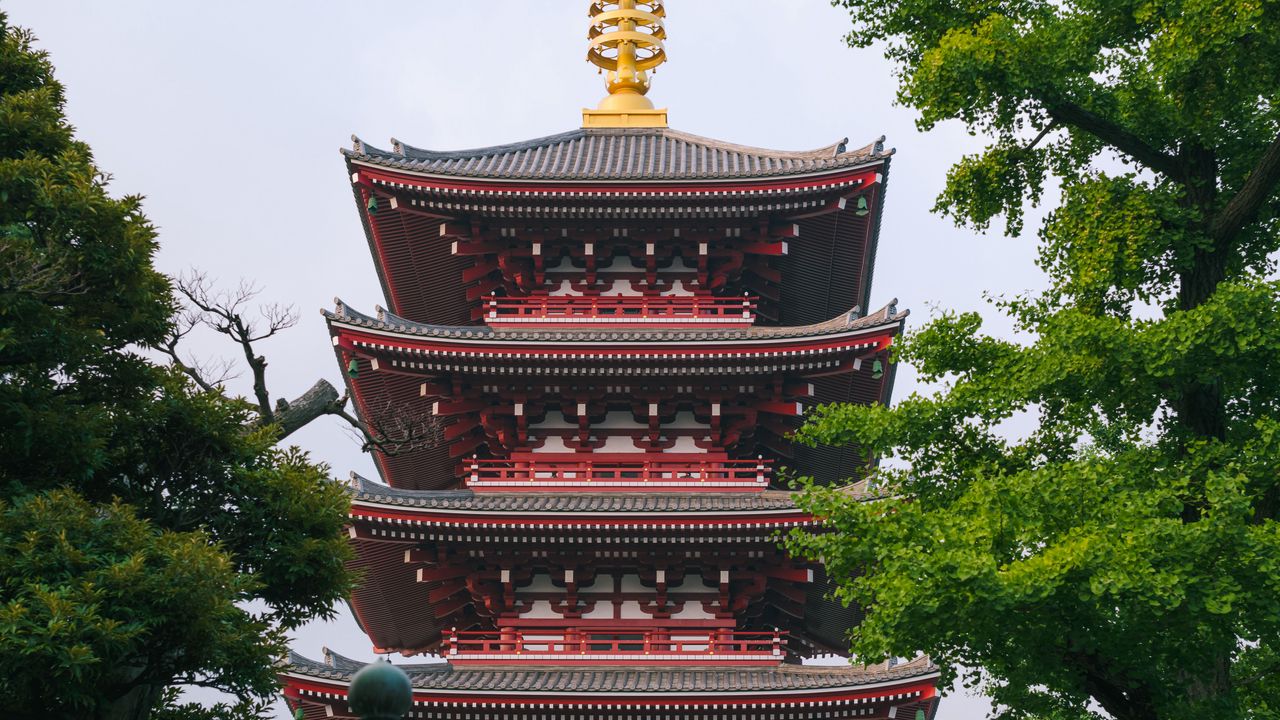 Wallpaper pagoda, architecture, trees, asia