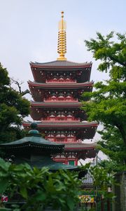 Preview wallpaper pagoda, architecture, trees, asia