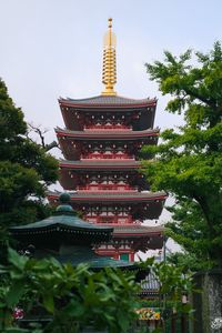 Preview wallpaper pagoda, architecture, trees, asia