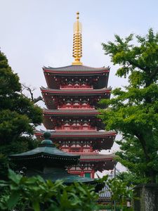 Preview wallpaper pagoda, architecture, trees, asia