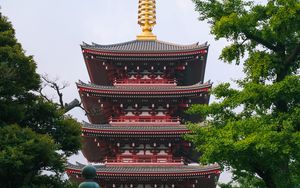 Preview wallpaper pagoda, architecture, trees, asia