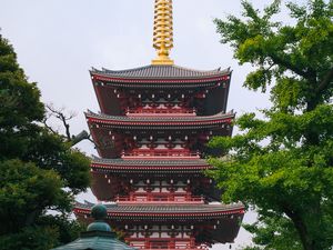 Preview wallpaper pagoda, architecture, trees, asia