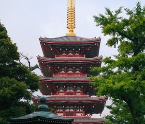 Preview wallpaper pagoda, architecture, trees, asia