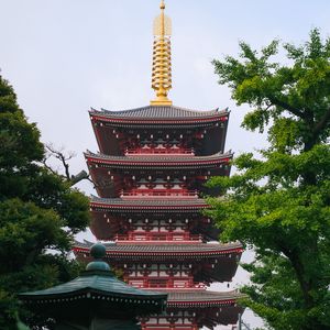 Preview wallpaper pagoda, architecture, trees, asia