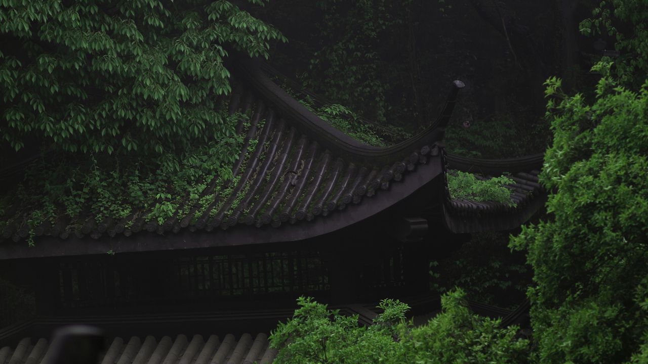 Wallpaper pagoda, architecture, trees, greenery, nature