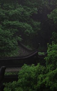 Preview wallpaper pagoda, architecture, trees, greenery, nature