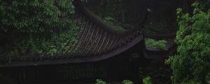 Preview wallpaper pagoda, architecture, trees, greenery, nature